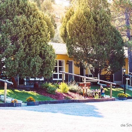 The Pines Country Inn Newcastle Екстер'єр фото
